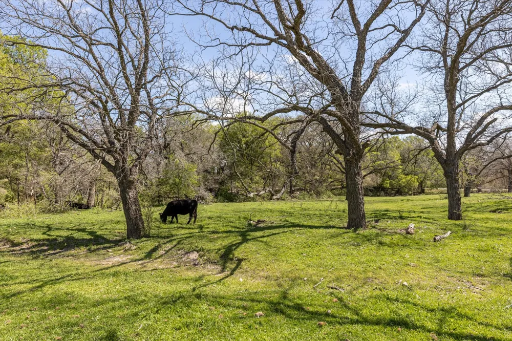9885 County Road 270 Hico, TX 76457