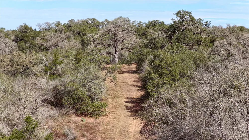 256 Greasy Bend Road Smithville, TX 78957