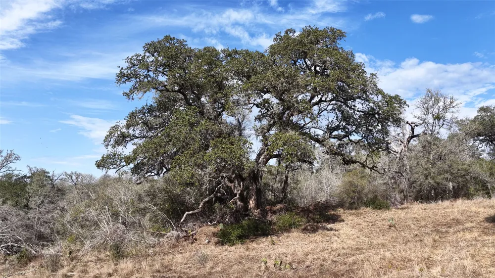 256 Greasy Bend Road Smithville, TX 78957