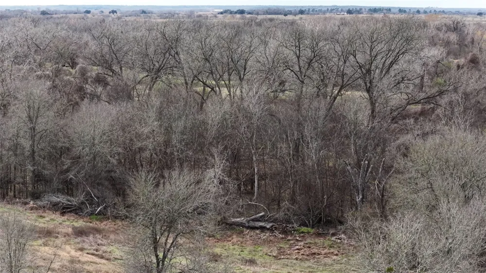 256 Greasy Bend Road Smithville, TX 78957