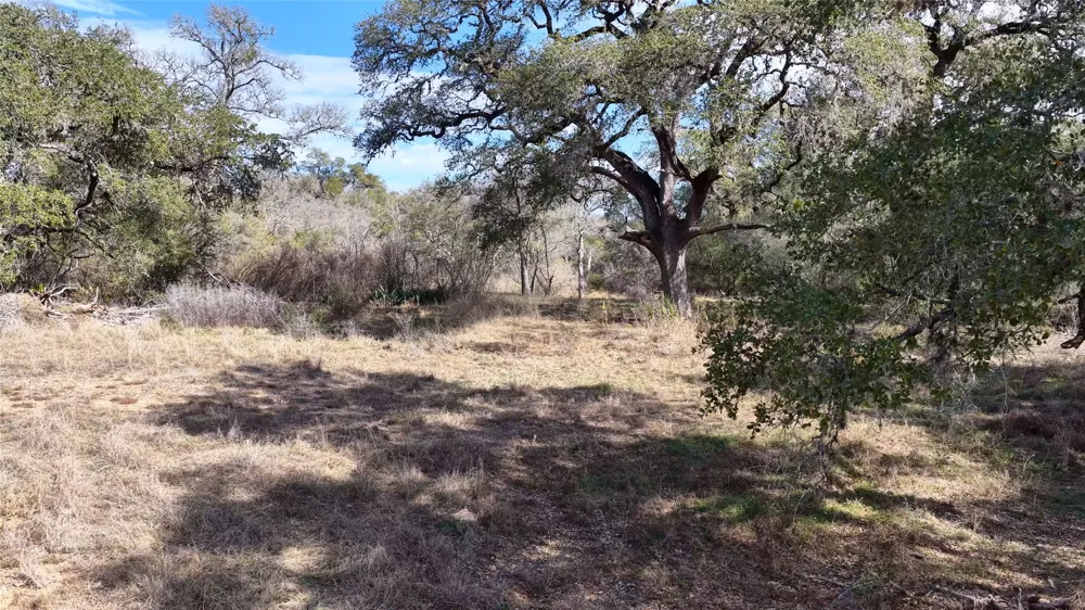 256 Greasy Bend Road Smithville, TX 78957