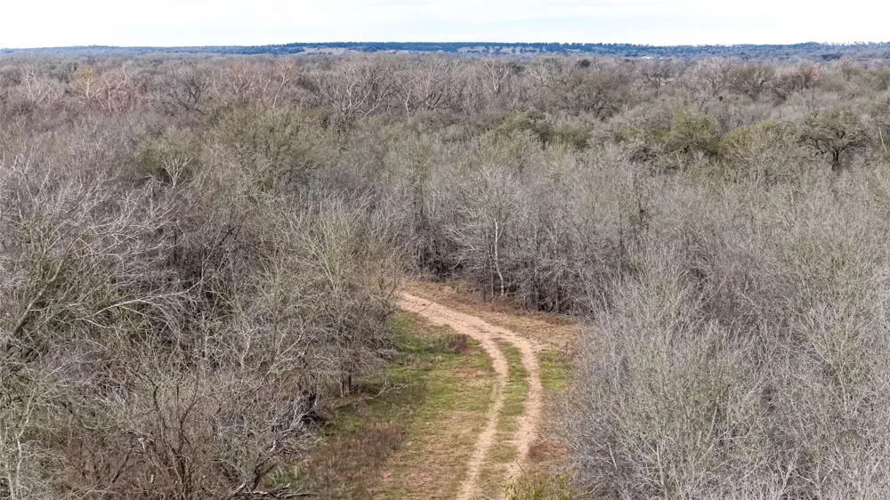 256 Greasy Bend Road Smithville, TX 78957