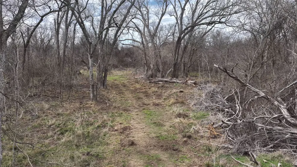 256 Greasy Bend Road Smithville, TX 78957