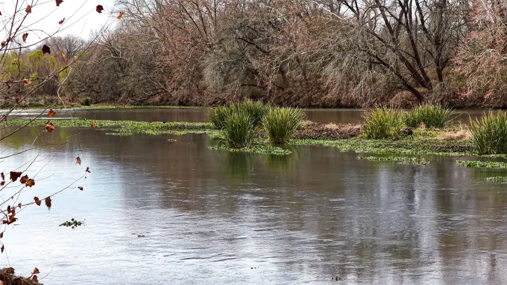256 Greasy Bend Road Smithville, TX 78957