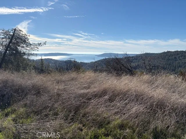 8870 Oro Quincy Berry Creek, CA 95916