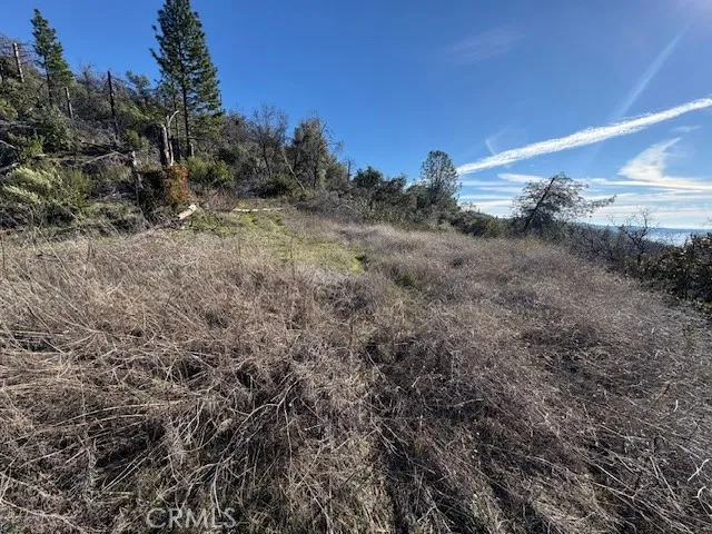 8870 Oro Quincy Berry Creek, CA 95916
