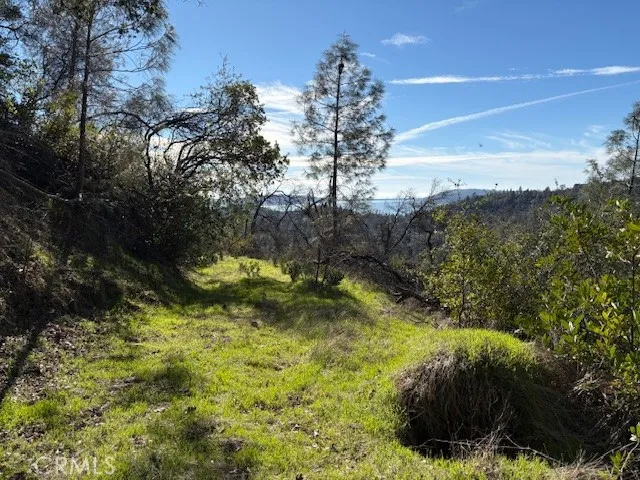 8870 Oro Quincy Berry Creek, CA 95916