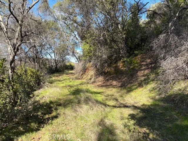 8870 Oro Quincy Berry Creek, CA 95916