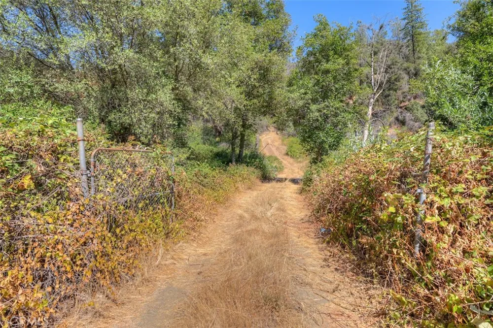 8870 Oro Quincy Berry Creek, CA 95916