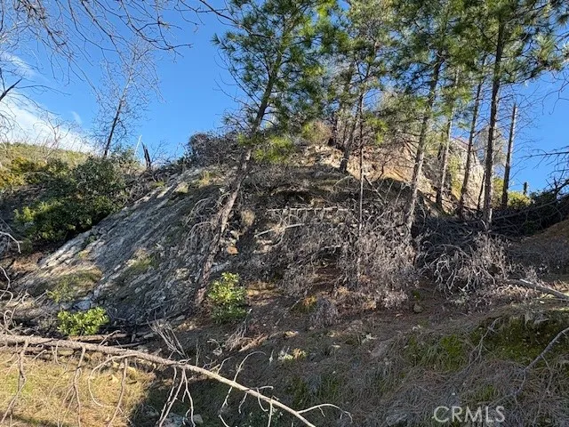 8870 Oro Quincy Berry Creek, CA 95916