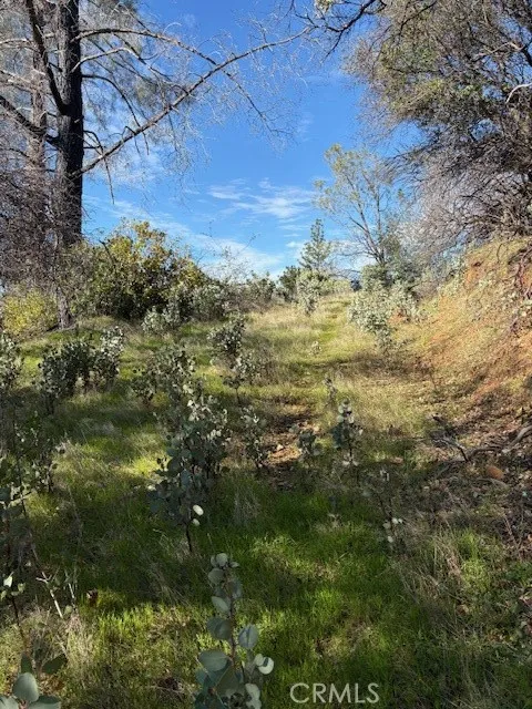 8870 Oro Quincy Berry Creek, CA 95916