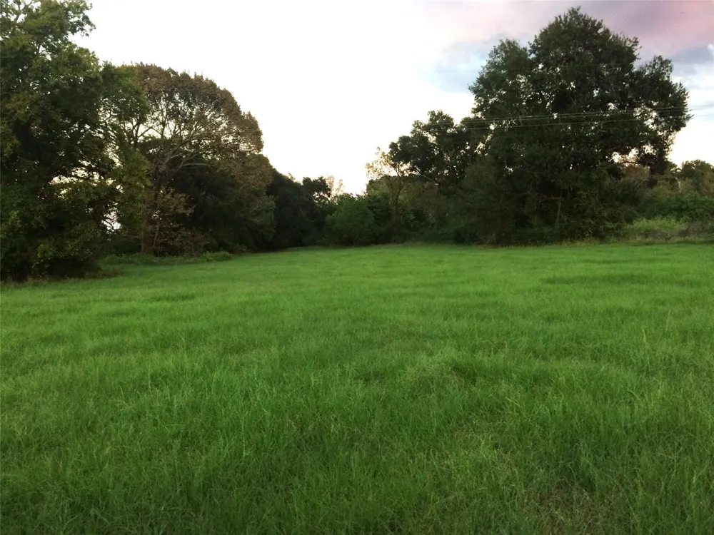 347 E Caroline St Trinity, TX 75862