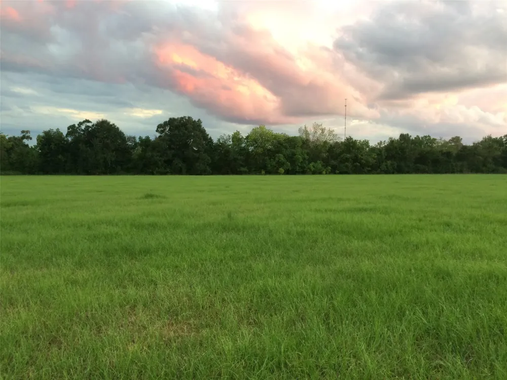 347 E Caroline St Trinity, TX 75862