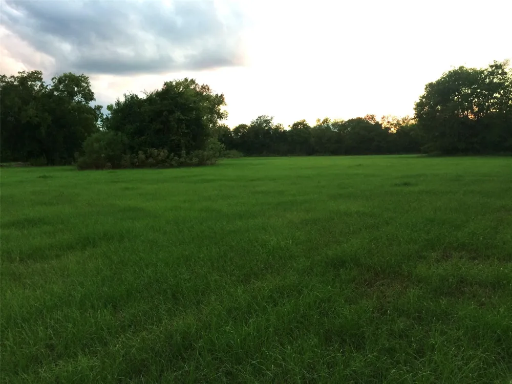 347 E Caroline St Trinity, TX 75862