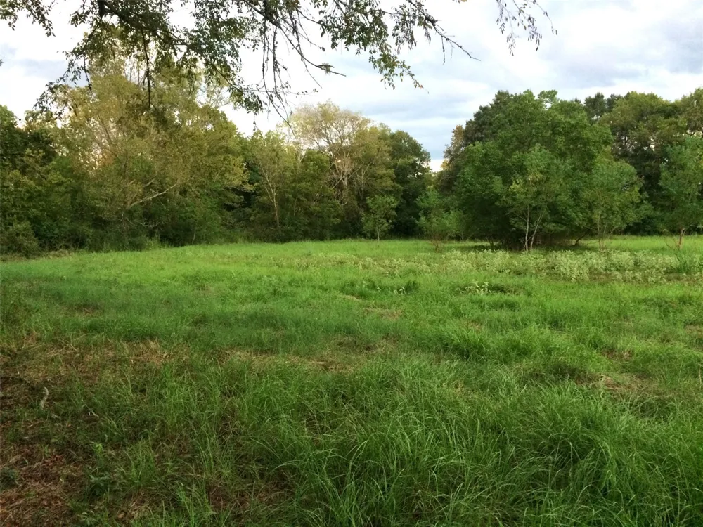 347 E Caroline St Trinity, TX 75862