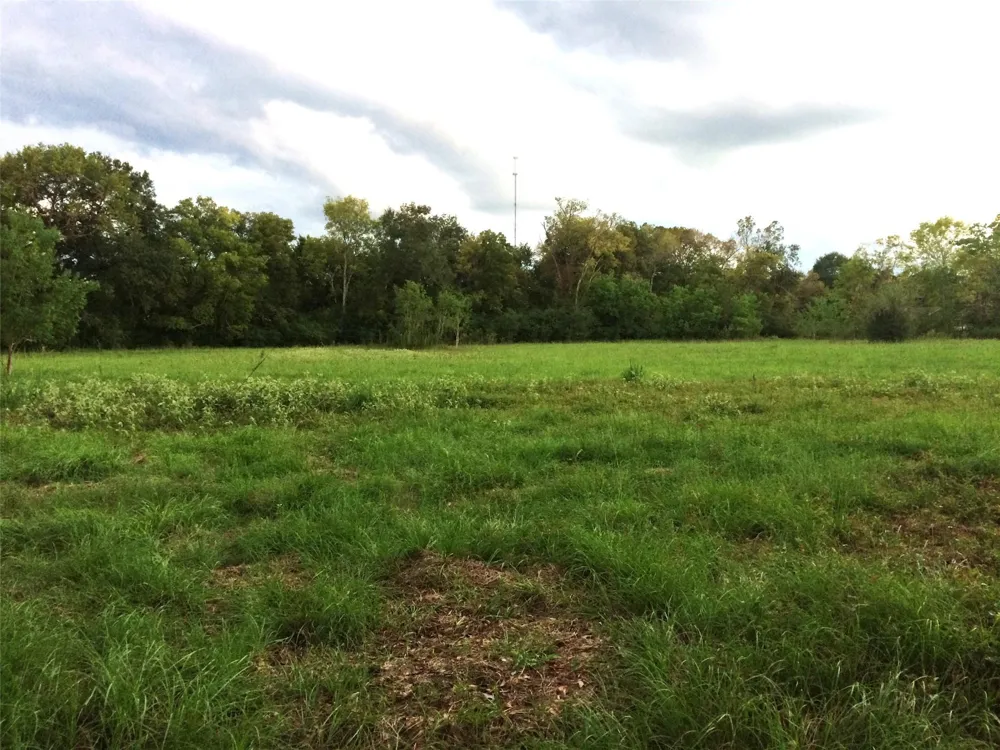 347 E Caroline St Trinity, TX 75862