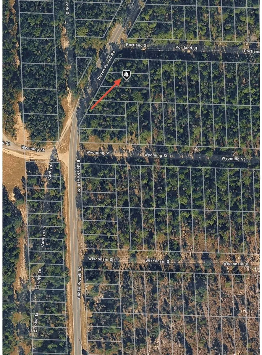 608 BADEN POWELL ROAD Hawthorne, FL 32640