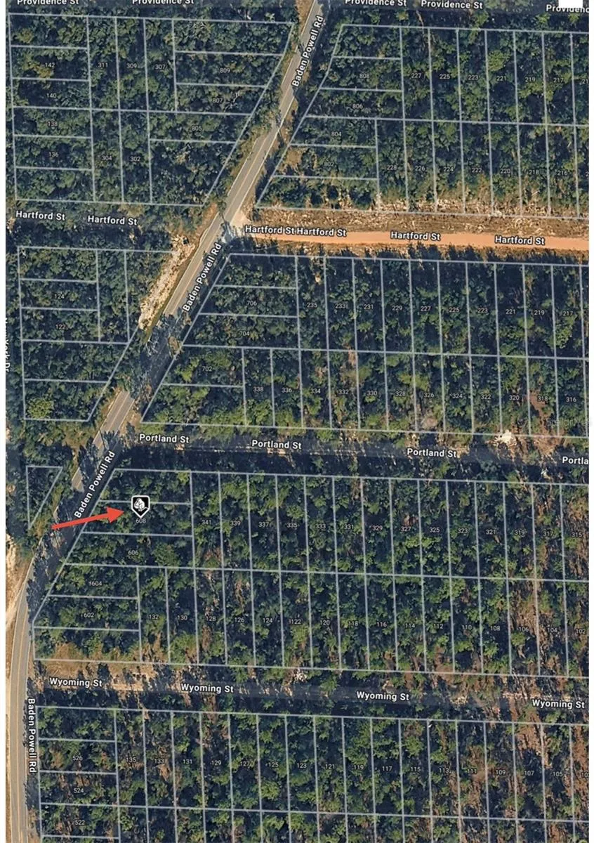 608 BADEN POWELL ROAD Hawthorne, FL 32640