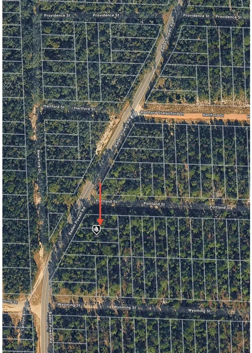 608 BADEN POWELL ROAD Hawthorne, FL 32640