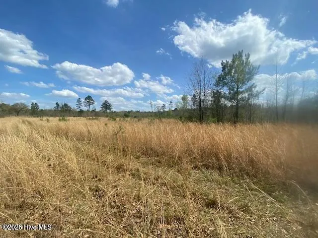28385 Aberdeen Road Wagram, NC 28396