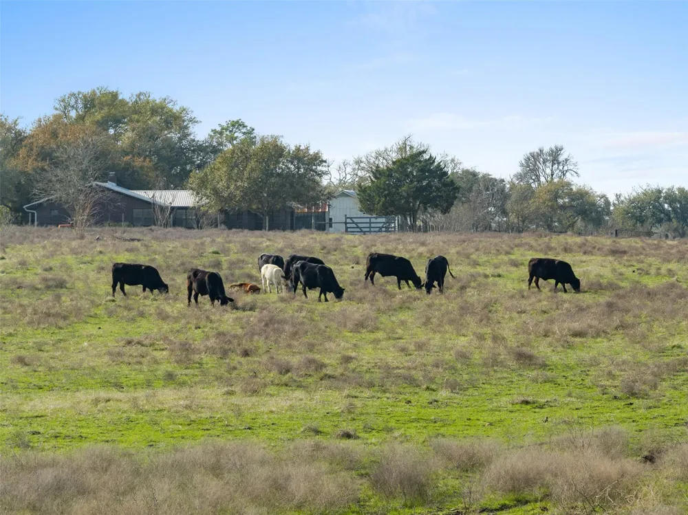 8232 Fm 2145 Ledbetter, TX 78946