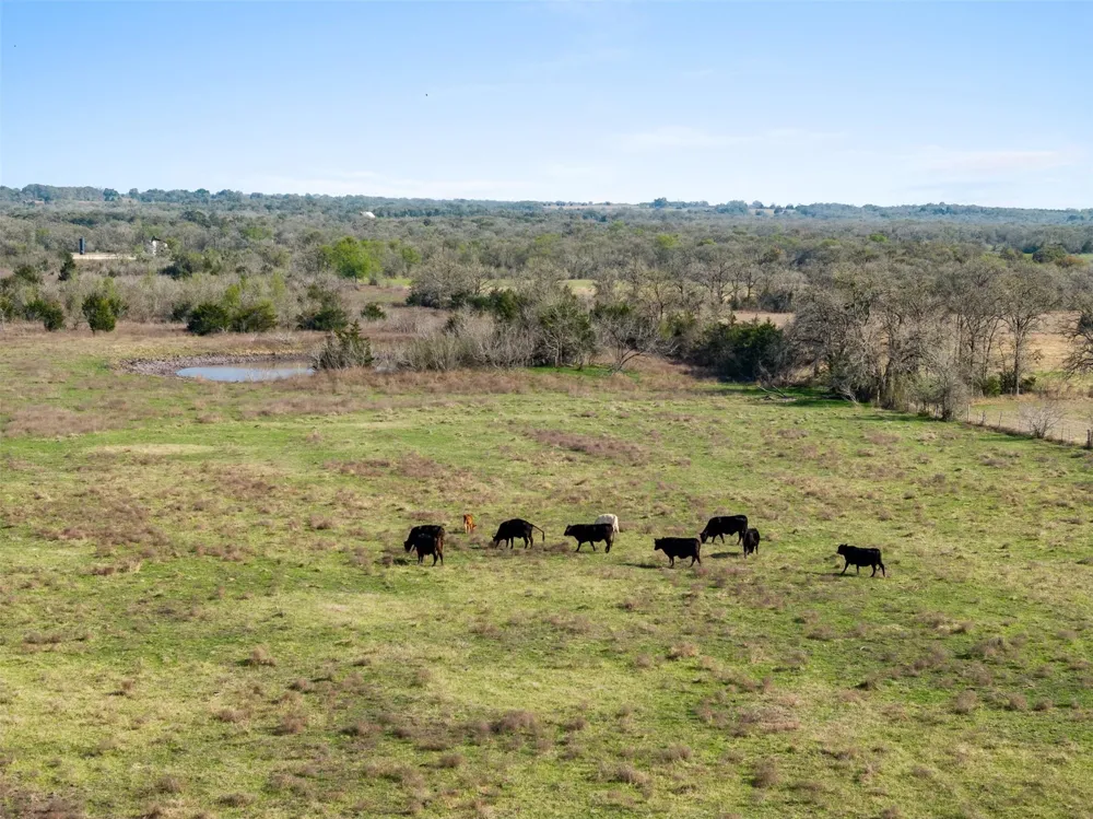 8232 Fm 2145 Ledbetter, TX 78946