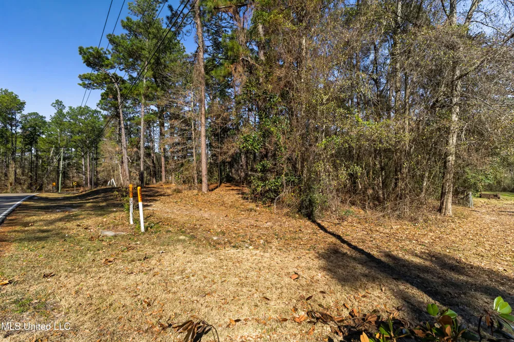1906 S 28th Avenue Ext. Hattiesburg, MS 39402