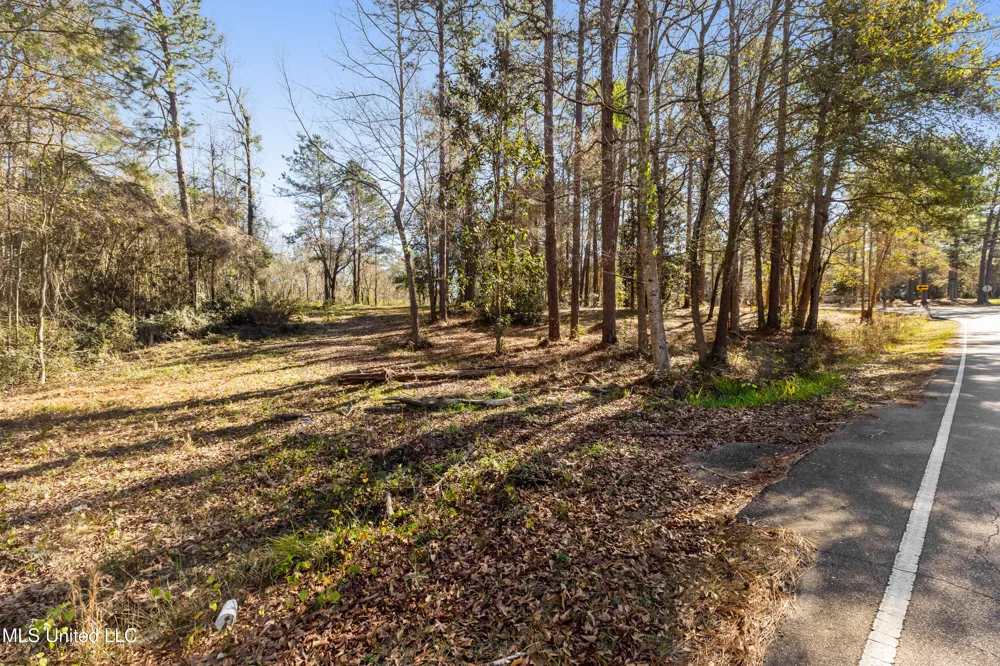 1906 S 28th Avenue Ext. Hattiesburg, MS 39402