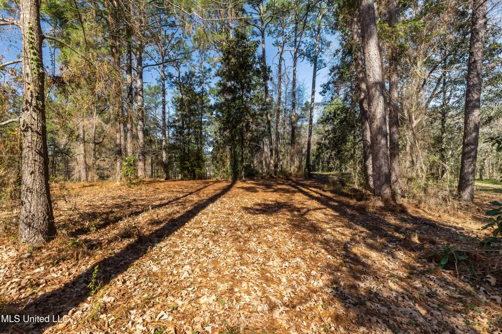 1906 S 28th Avenue Ext. Hattiesburg, MS 39402