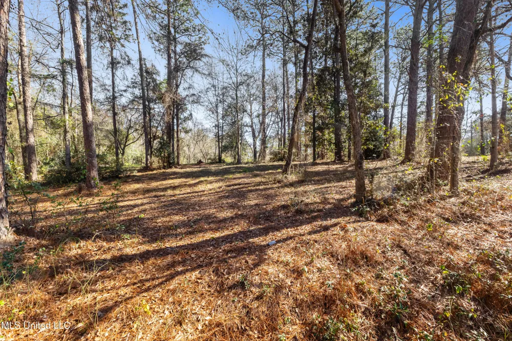 1906 S 28th Avenue Ext. Hattiesburg, MS 39402