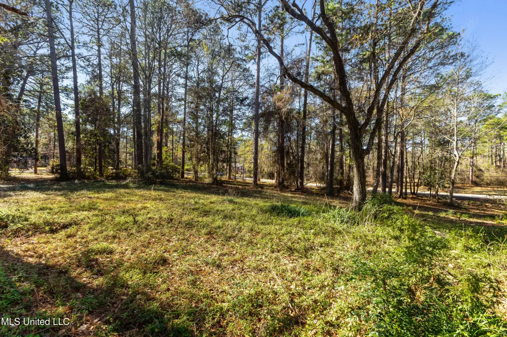 1906 S 28th Avenue Ext. Hattiesburg, MS 39402