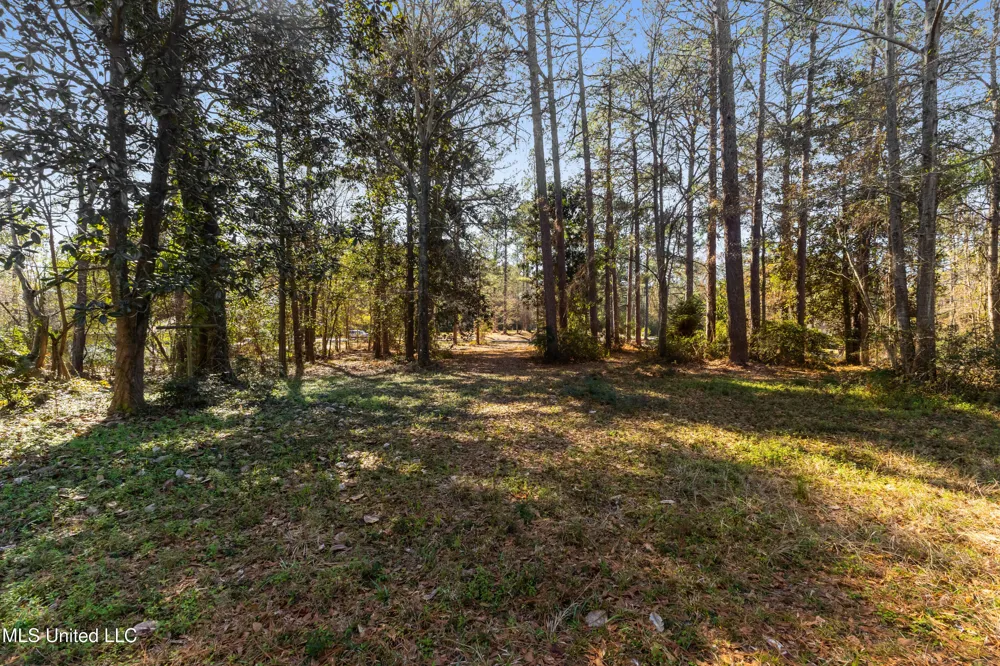 1906 S 28th Avenue Ext. Hattiesburg, MS 39402
