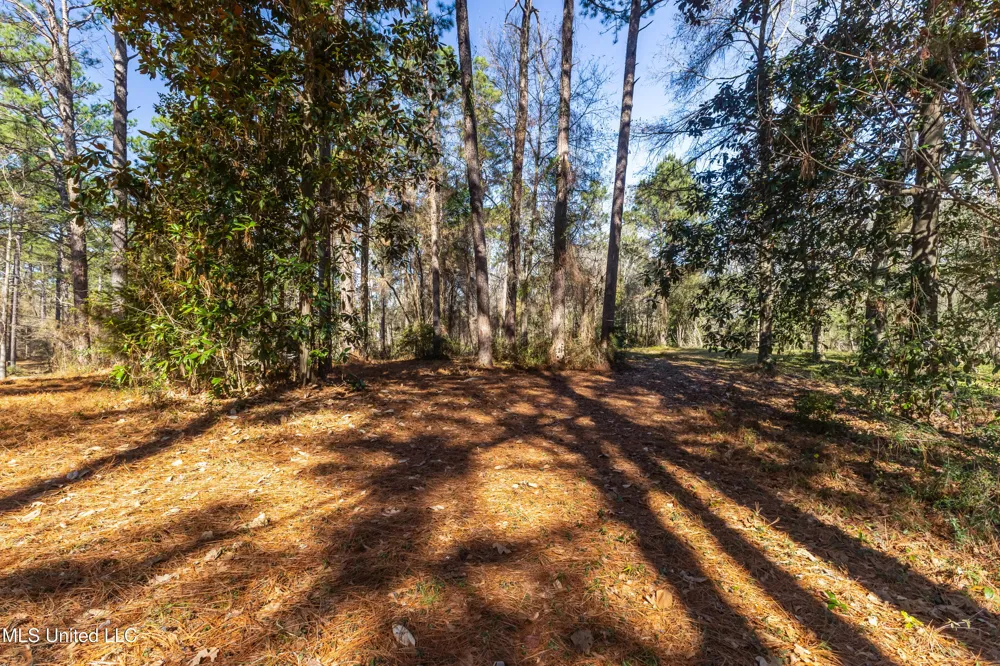 1906 S 28th Avenue Ext. Hattiesburg, MS 39402