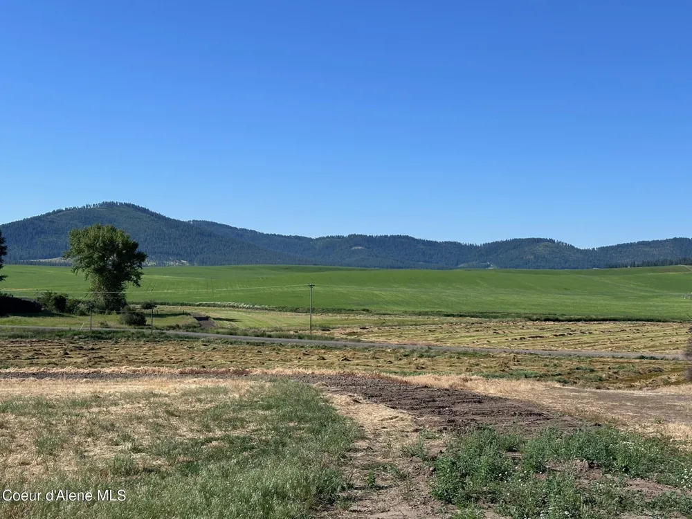 2915 Hangman Creek Road Tensed, ID 83870