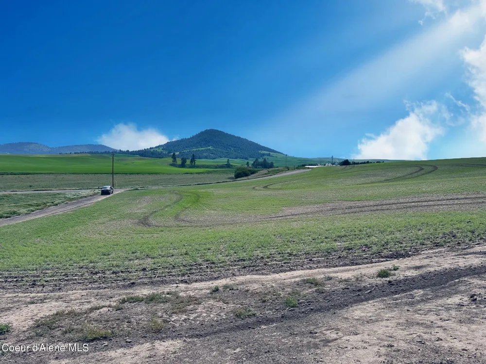 2915 Hangman Creek Road Tensed, ID 83870