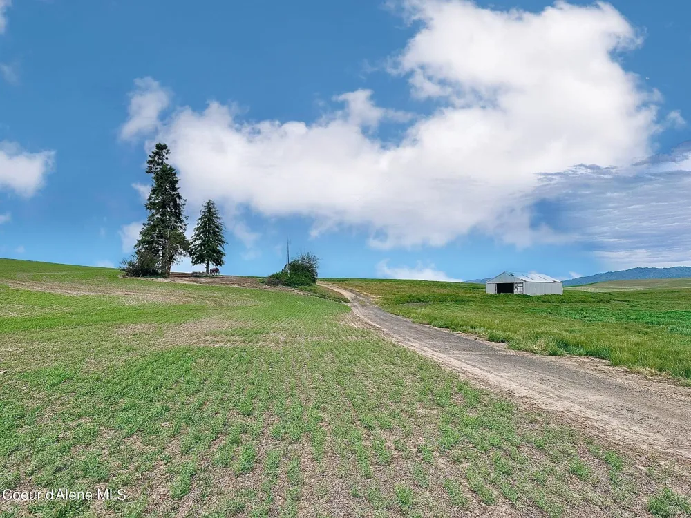 2915 Hangman Creek Road Tensed, ID 83870