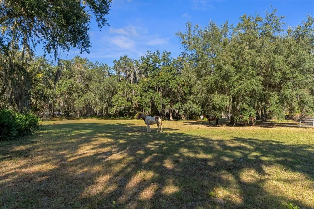 Address Not Shown Okahumpka, FL 34762