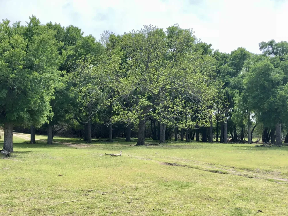 County Road 208 Lampasas, TX 76550