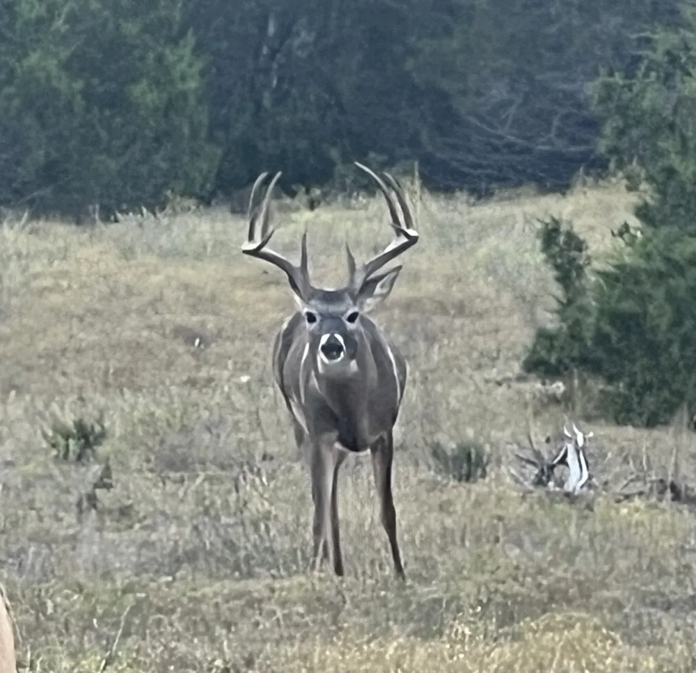 County Road 208 Lampasas, TX 76550