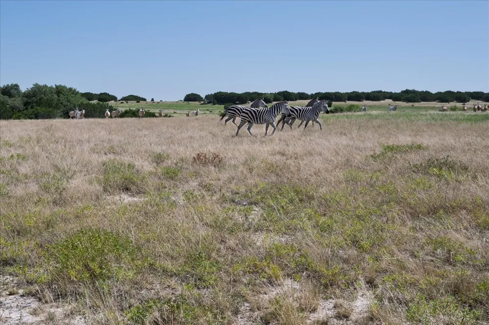 County Road 208 Lampasas, TX 76550