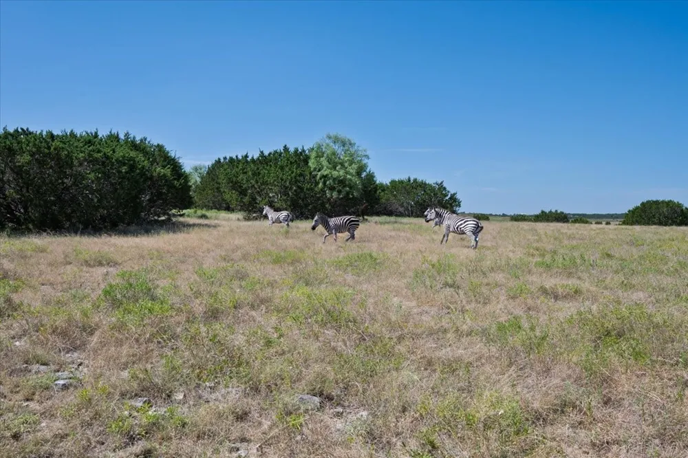 County Road 208 Lampasas, TX 76550