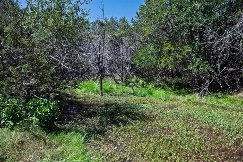 County Road 208 Lampasas, TX 76550