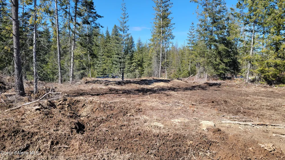 Lot 2 Pioneer Lane Priest River, ID 83856