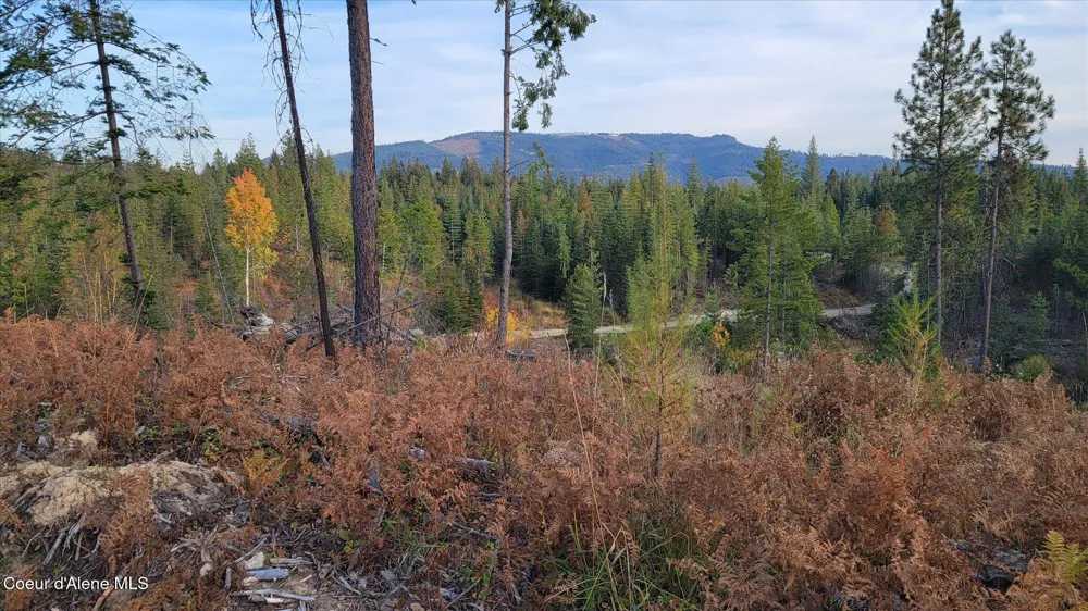 Lot 2 Pioneer Lane Priest River, ID 83856