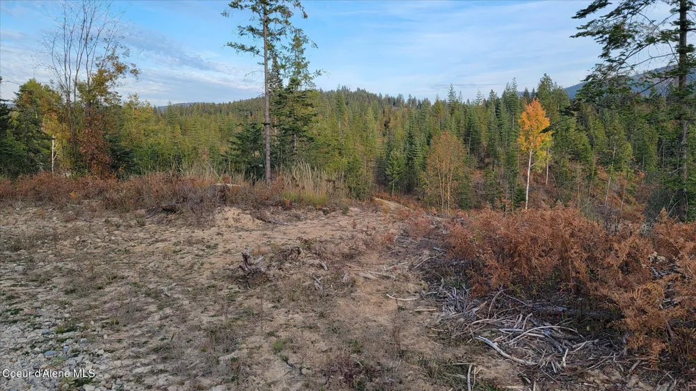 Lot 2 Pioneer Lane Priest River, ID 83856
