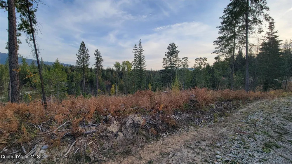 Lot 2 Pioneer Lane Priest River, ID 83856