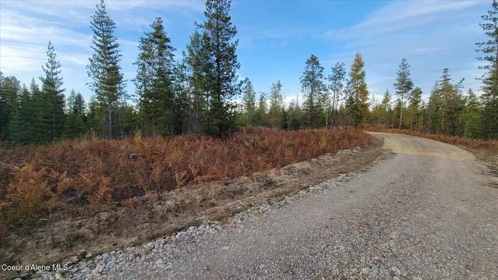 Lot 2 Pioneer Lane Priest River, ID 83856