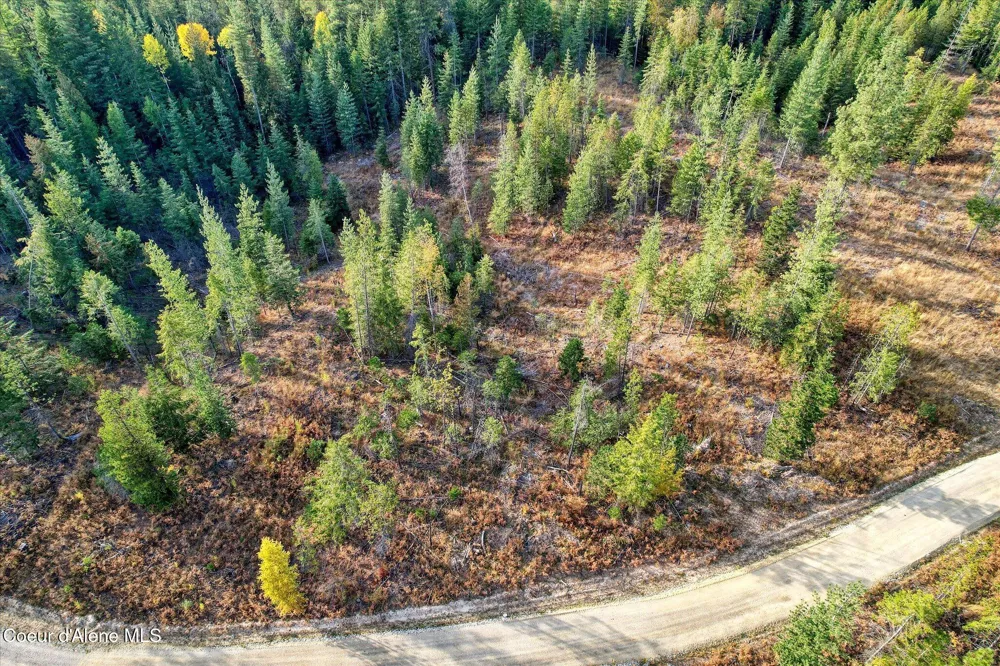 Lot 2 Pioneer Lane Priest River, ID 83856