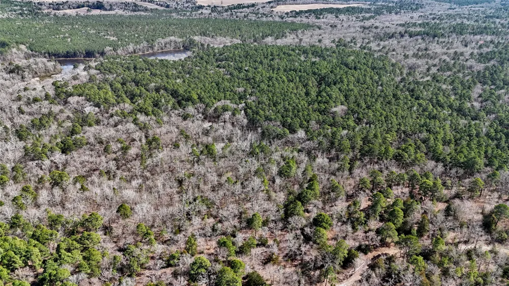 An County Road 314 Frankston, TX 75763