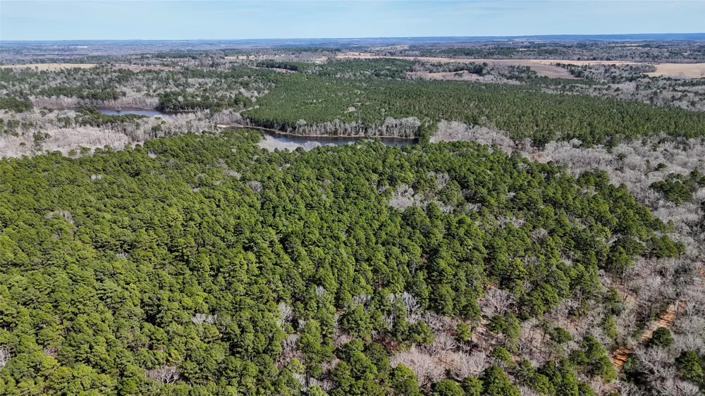 An County Road 314 Frankston, TX 75763